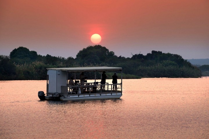 Zambia Lion King Sunset…