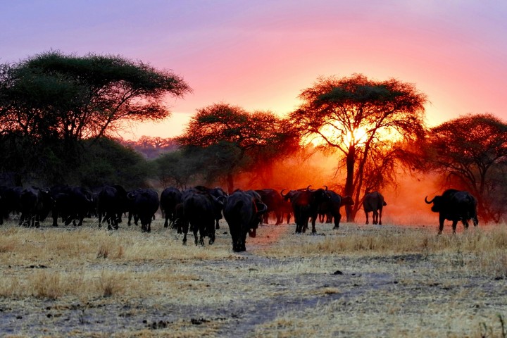 3 day fly-in safari…