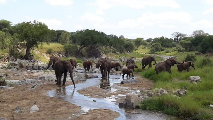 4 Days Budget Safari