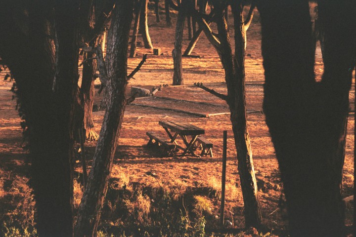 4 day safari from Zanzibar…