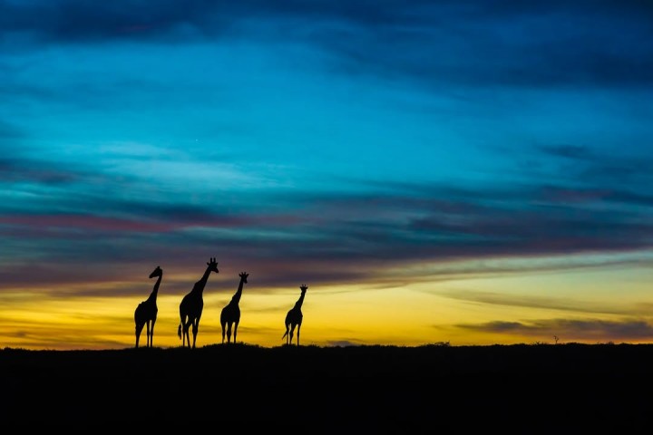 2 days safari from Zanzibar…