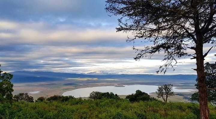5-Day Last-Minute Safari…