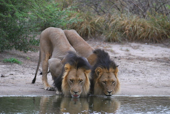 3-Day Camping Safari…