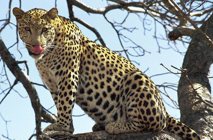 10-Day From Kenya to…