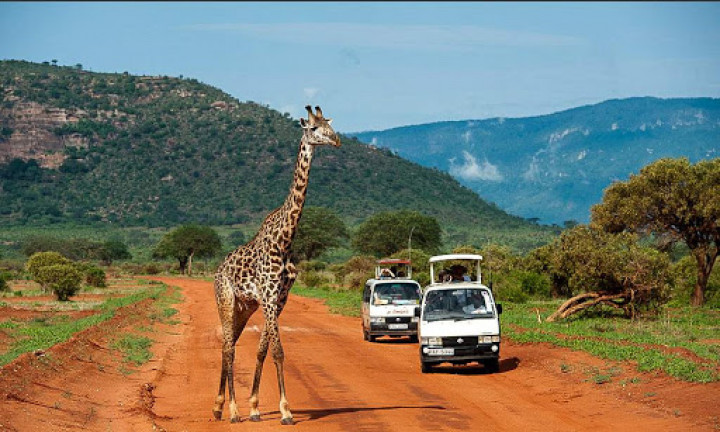 Five Days: Big Five…