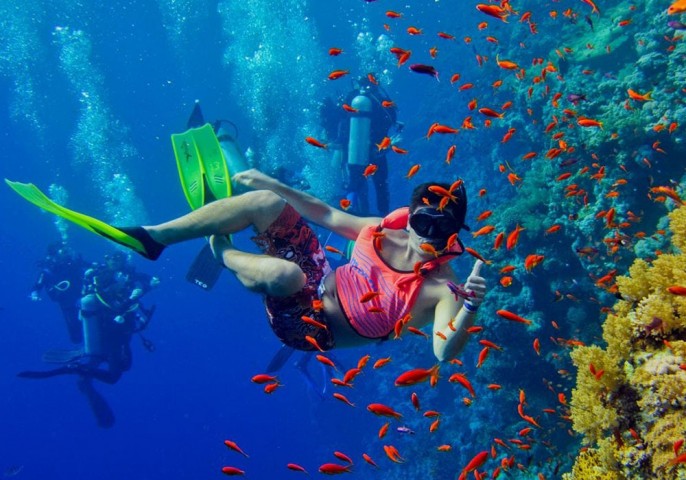 Snorkeling Trip to Mnemba…