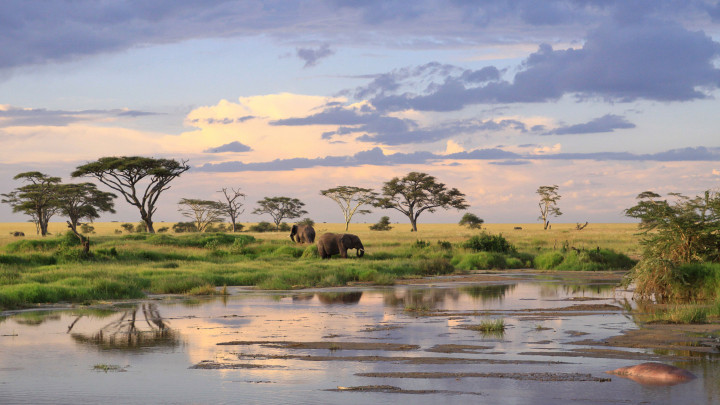 3 DAYS TO SERENGETI