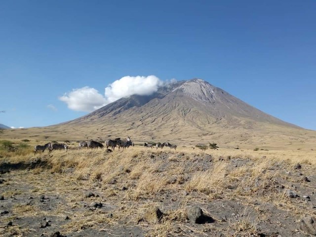 4 Days budget Tanzania…