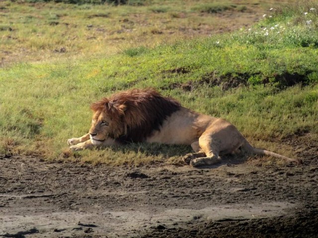5 day safari to Tarangire,…