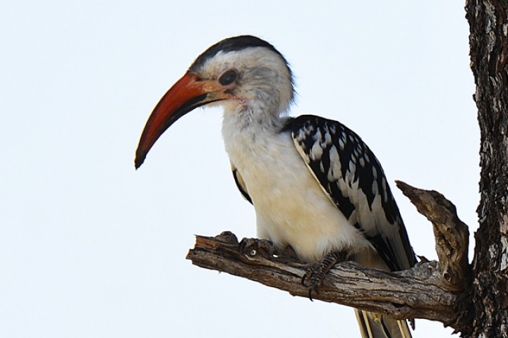 6 Days Tanzania Luxury…