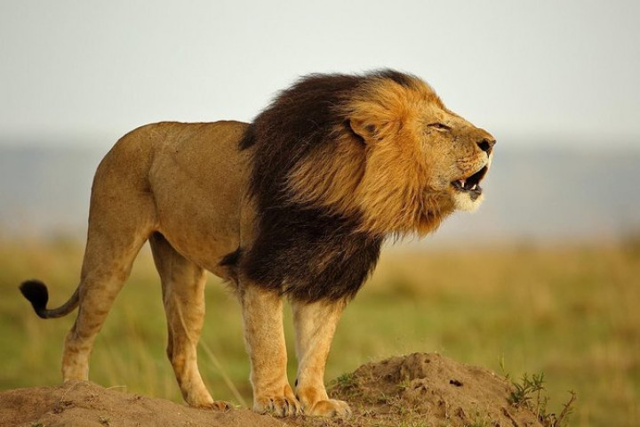 Five Days: Big Five…