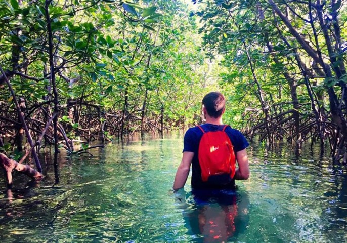 Uzi Island Cultural…