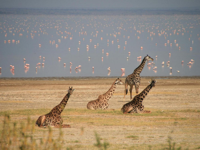 Short safari to Tarangire,…
