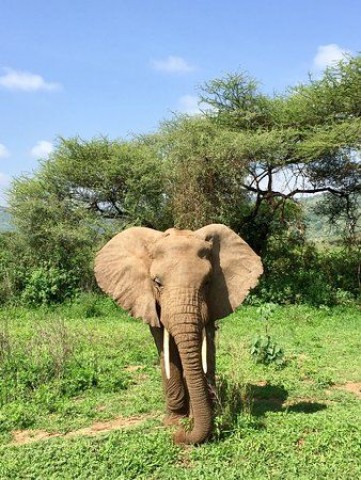 3-Day Tanzania Fly-In…